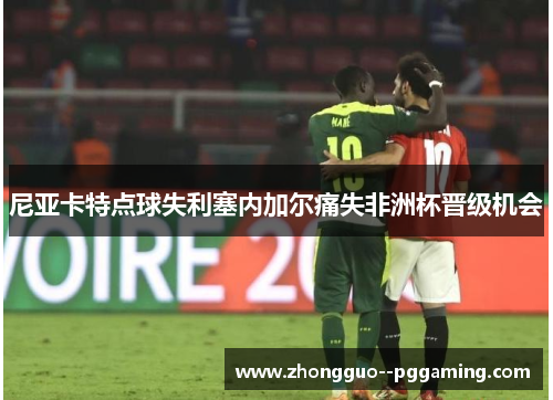 尼亚卡特点球失利塞内加尔痛失非洲杯晋级机会 尼亚卡特点球失利塞内加尔痛失非洲杯晋级机会