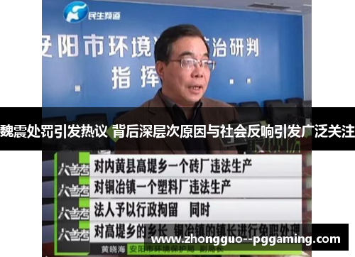 魏震处罚引发热议 背后深层次原因与社会反响引发广泛关注