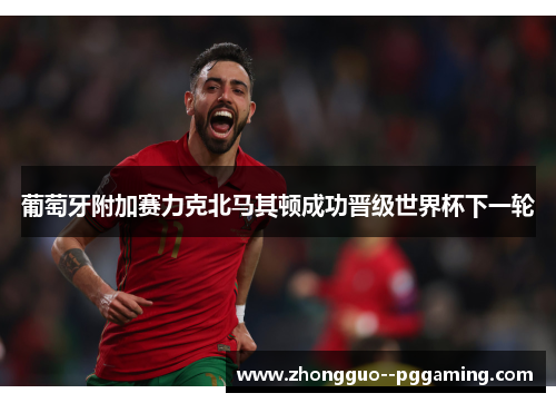 葡萄牙附加赛力克北马其顿成功晋级世界杯下一轮 葡萄牙附加赛力克北马其顿成功晋级世界杯下一轮